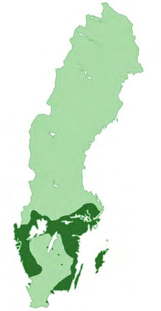 I Danmark noterades arten första gången 1914 men den har inte observerats sedan 1950-talet (Fog et al., 2001). I Norge förekommer arten längs hela syd- och västkusten (Kreiner, 2007).