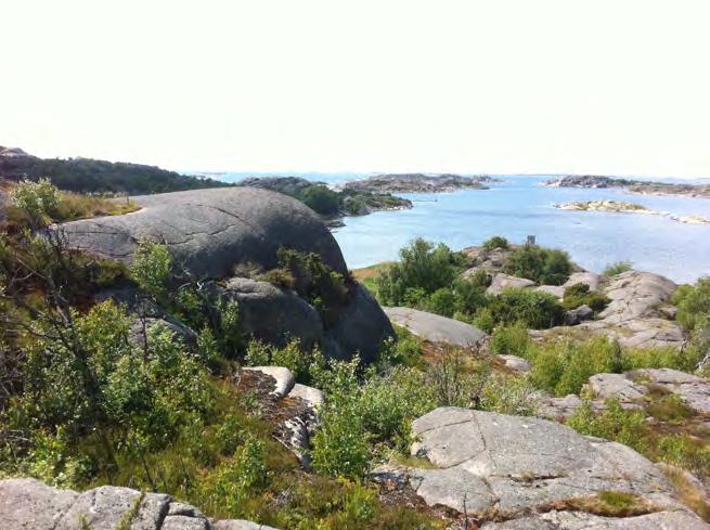 Inventering av hasselsnok i Göteborgs kommun R 2012:6 3.