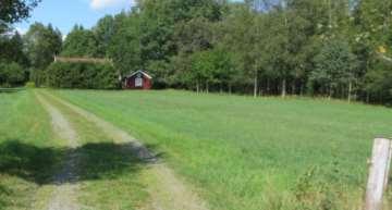 körväg över åkern.