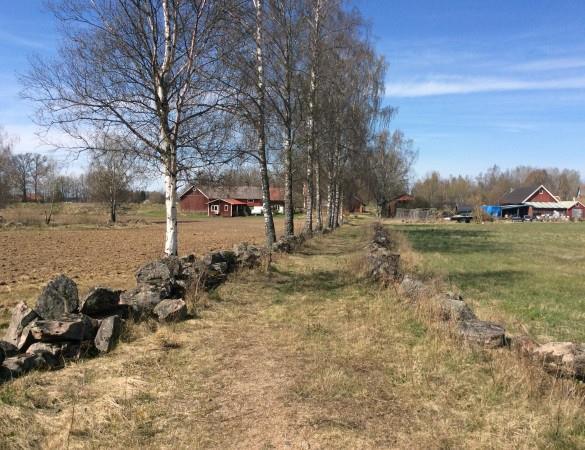 odlingslandskap till större åkrar och vallar.