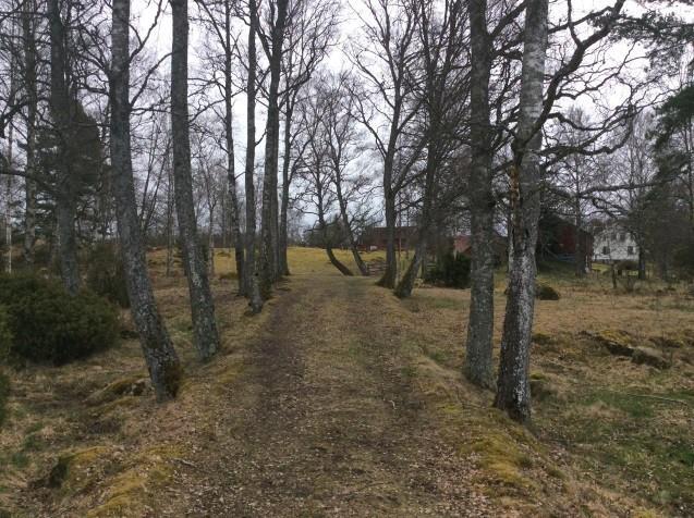 Totalt finns det ca 3200 meter stenmur och många av dem fortsätter utanför inventerings- området. Småvatten och öppna diken i Biotoperna består av 10 diken samt 3 ytor med småvatten.