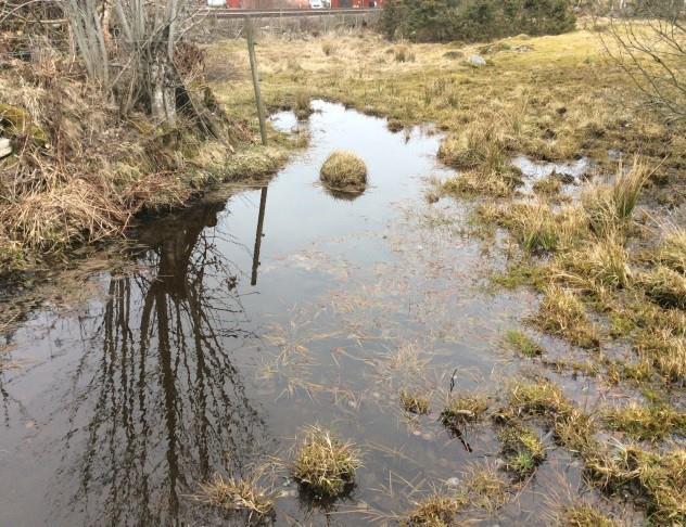 Låg vattennivå och på sina håll strömt vatten. Djupare vattennivå på platser med stillastående vatten.