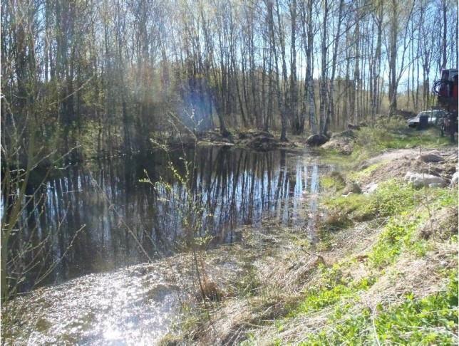 4 Grävd damm Viktigt lekvatten för med syfte att vattensalamander hålla fisk, enligt där det den 7 april markägaren. sågs 1 hona av Vegetation i större kanterna mot vattensalamander öster och söder.
