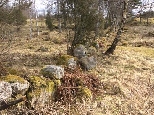 8 Stenmur i 9 Stenmur i Stenmur mellan två åkrar.