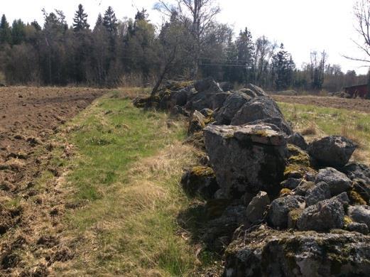 15 Stenmur i 16 Stenmur i 17 Stenmur i 18 Stenmur i Stenmur vid järnväg och odlingsmark.