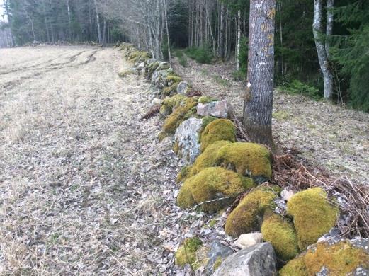 19 Stenmur i 20 Stenmur i Stenmur vid järnväg och odlingsmark. Delvis igenvät.