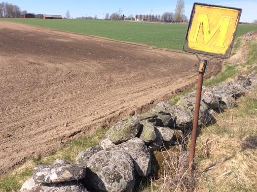 35 Stenmur i Relativ öppen stenmur