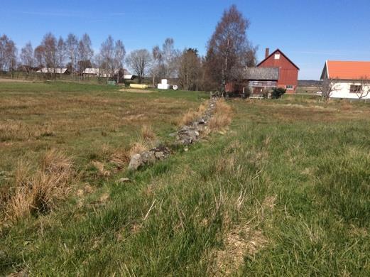 38 Stenmur i Mindre stenmur i betesmark.
