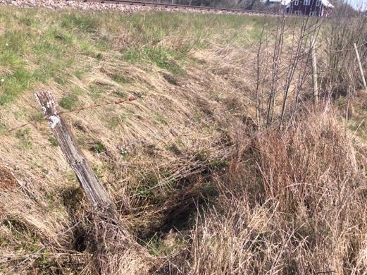48 Öppet dike i Dike mellan åkrar och järnvägen.