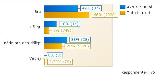 10.2. Hur fungerar det nu när du har kommit hem? Kommentarer från patienter som svarade att det fungerat bra.