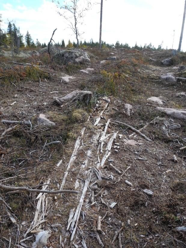 biologiskt värdefulla