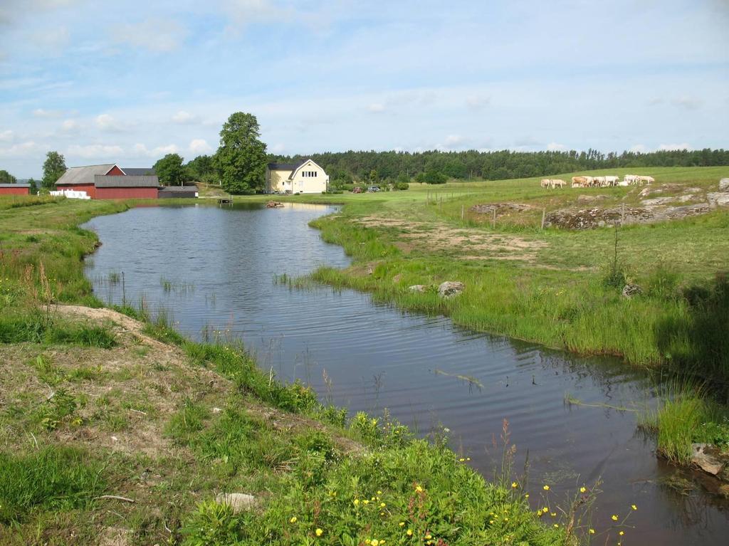 2. Otillfredsställande fysiska förutsättningar (36 %) 1.