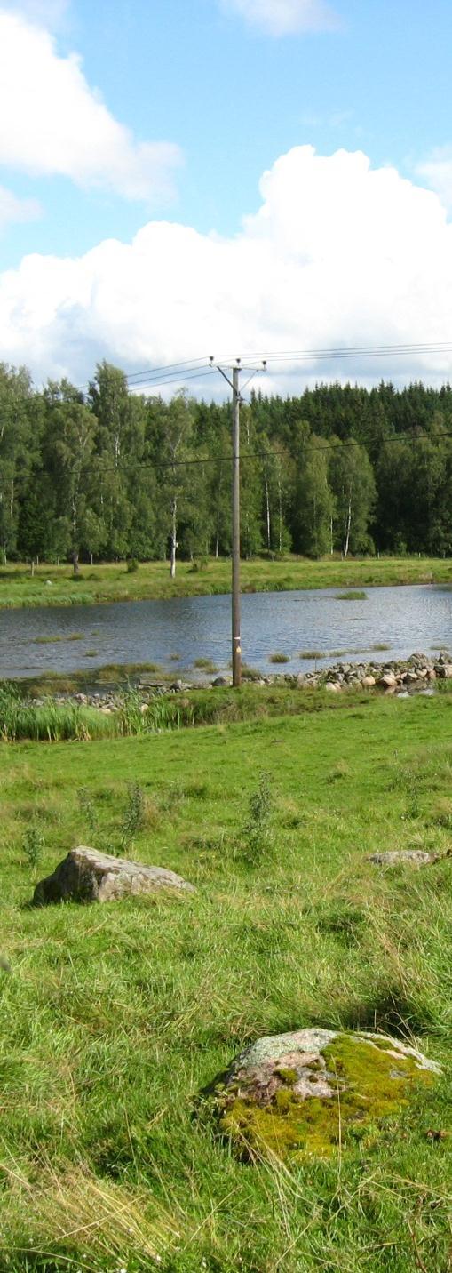 3. Resultat Varje delmoment bedöms separat Viktade uppgiftervägs samman till en totalpoäng 5 = Hög biologisk mångfald 4 = God biologisk mångfald 3 =