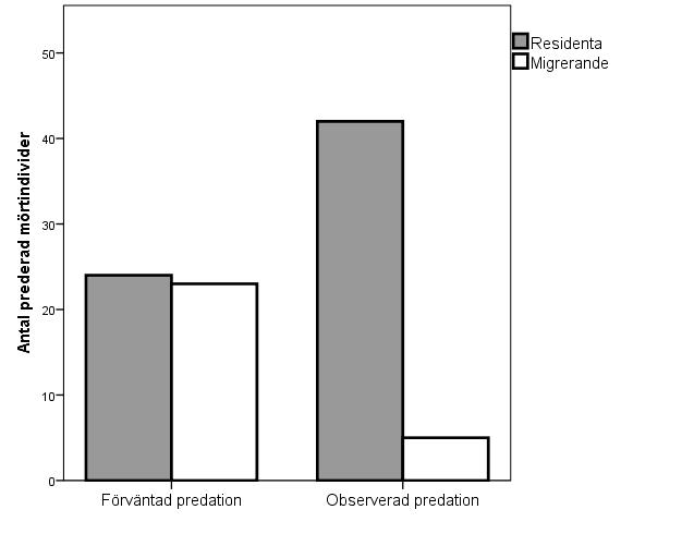 Figur 3. Illustrerar förväntat antal respektive observerat antal prederade mörtindivider för residenta och migrerande individer. Figur 4.