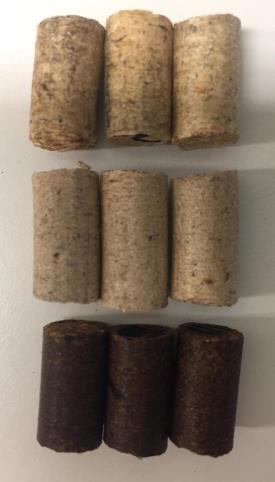 Fukthalt (%) 3.4 Fuktupptagning Lignin och cellulosa hade nästan samma effekter på pellets producerade av granspån, björkspån och aspbark.