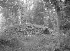 Kulvert
