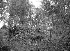 Kvarn 12