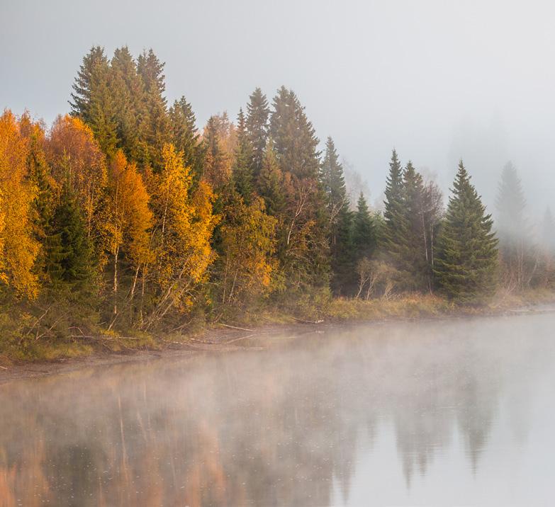 Lappland Döpt efter vårt nordligaste landskap är Lapplandskollektionen designad för en aktiv jakt, fullpackad med intensiva timmar av spårande i uppförsbacke, ofta i svåra väderförhållanden.