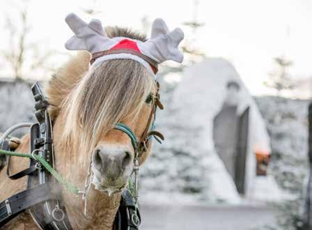 märkesvaror, bo i ett spektakulärt