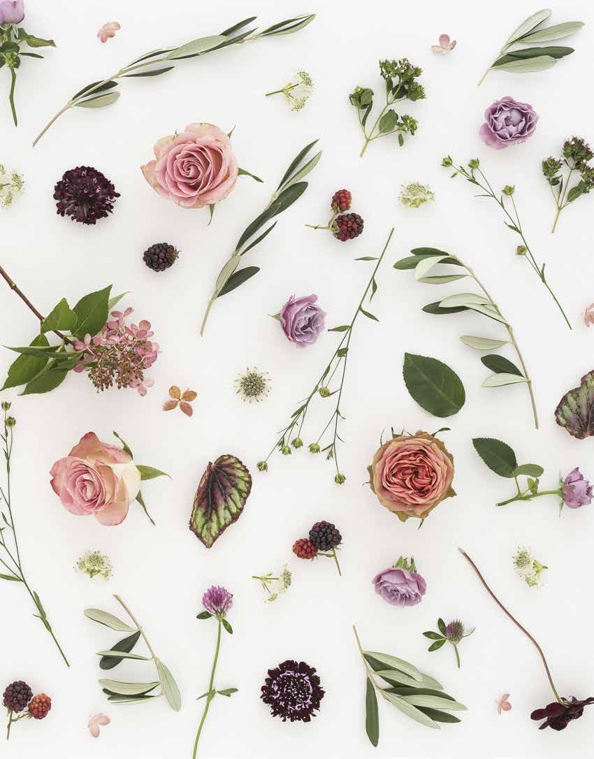 Vaser för alla buketter och blommor.