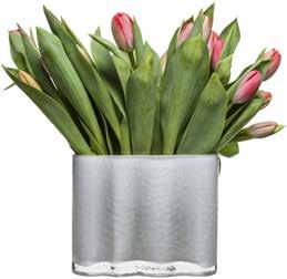 nr: 8711647 Mått: Ø 120 mm H 260 mm Pris per st: 260,00 Rek. butikspris: 379,00, 16 Siluett vas, klar Munblåst glas.