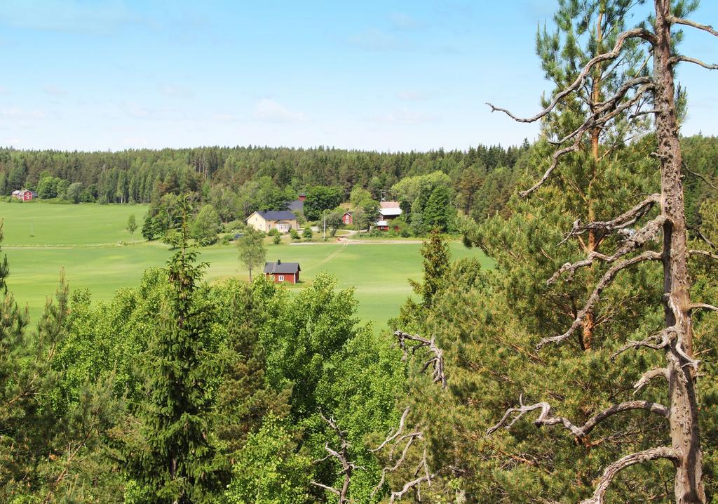 Skogsägarens