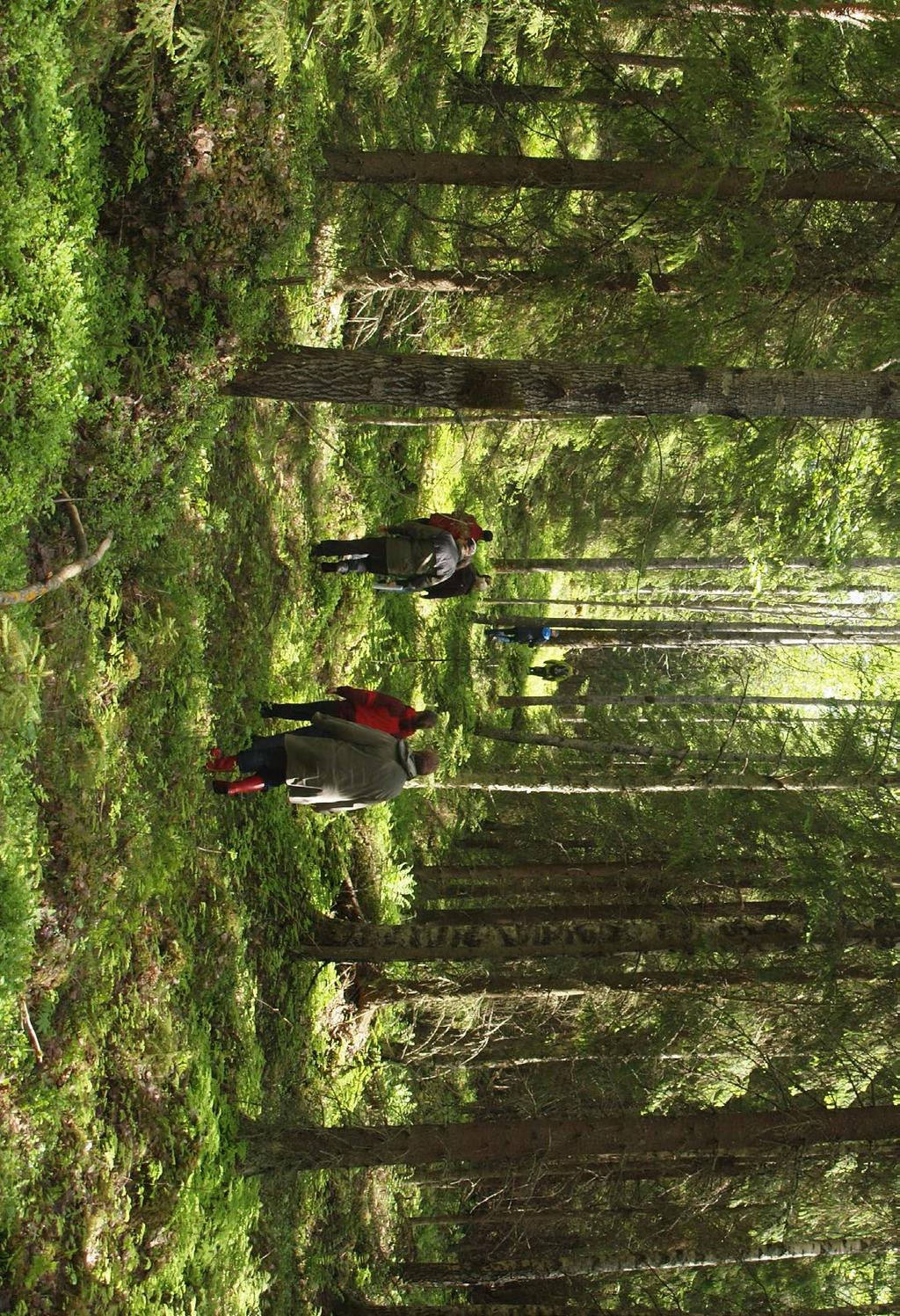 Det är bra för markägaren att komma överens med