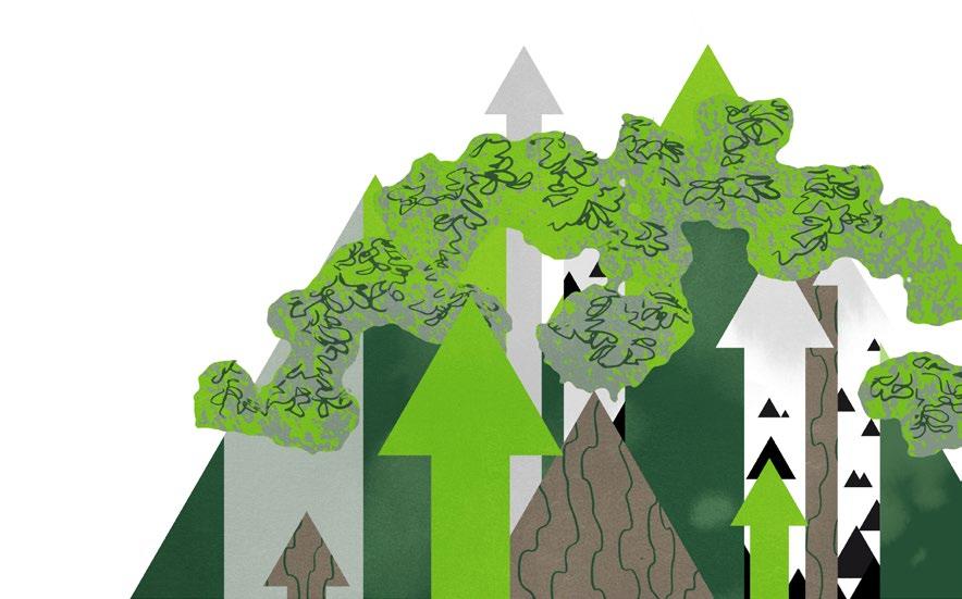 1 Skogsägaren som part i planläggningen Skogsägaren har rätt att delta i planläggningen och berätta sina åsikter i de olika skedena av planläggningen.