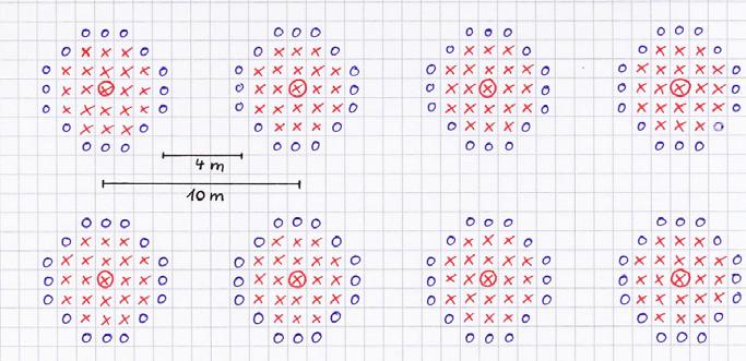 för senare användning. I de tyska försöken kunde man etablera 7 000 plantor per hektar med hjälp av 65 kilo ollon per låda i ett rutnät av 100-200 meter i rena tallbestånd. 2b.