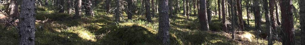 Se översiktskarta i skala 1:50 000 och