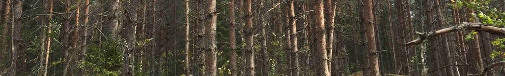 ca 6,4 m3sk/ha och år. Avdelning 1.