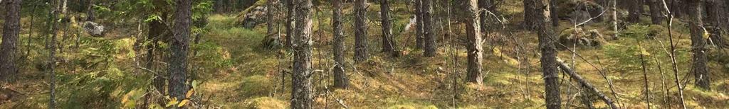 Landbobyns viltvårdsområde, ca 3 971 ha.