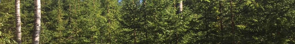 Skriftligt bud skall vara Skogsbyrågruppen, Mora Skogsbyrå, Fridhemsgatan 1, 792 30 Mora tillhanda senast