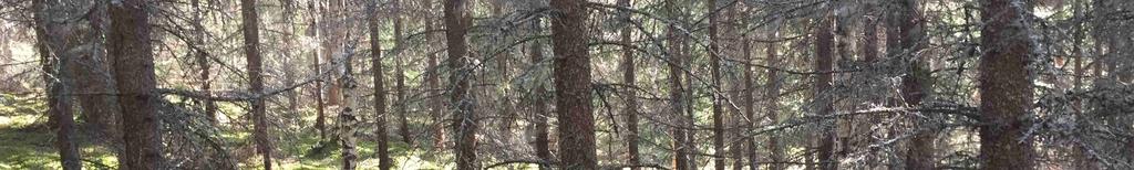 lämnade uppgifterna om skogen