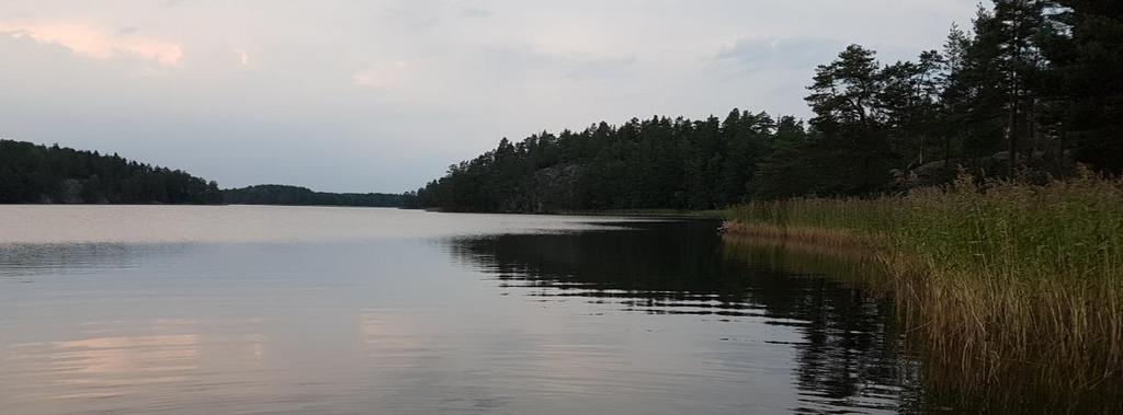 Fiskinventering med edna, Båven SAMMANFATTNING Akvatiskt miljö-dna eller edna (från engelskans environmental DNA) har under det senaste decenniet visat sig vara ett lovande verktyg för inventering av