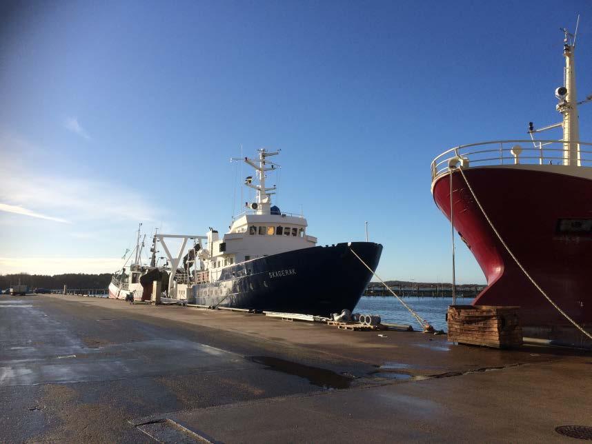 Kommersiellt fiske i Sverige/Norden Utvecklingen går mot färre och större fartyg allteftersom fisket rationaliseras, i Sverige såväl som i våra grannländer.