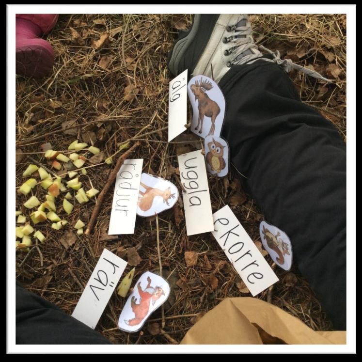 Gnistan grön För att arbeta mot vårt mål inom språk och kommunikation har vi använt både konkreta föremål, TAKK, bilder, skrift och det talade ordet.