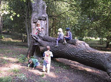 Den blivande parken ligger i ett centralt läge på Gråberget som är flackt och relativt lättillgänglig från Ärlegatan.