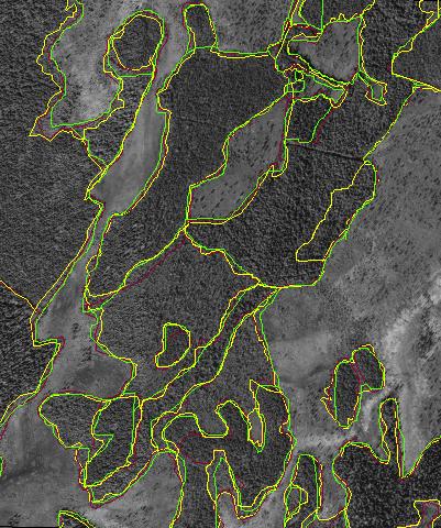3.4 Beståndsindelning Varje tolkare, både erfarna och nybörjare, gjorde en beståndsindelning i ett avgränsat område i de digitala bilderna över området utanför Åsele.