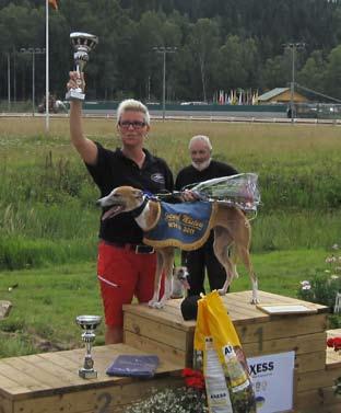 Borås Whippet