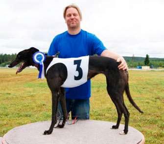som kennel Heartlines är ägare och också uppfödare Lurifax till på tiden 30.86 och på andraplats kom Razzia SkeHk 31.