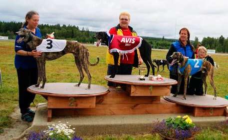 Yo-gi-oh I Lopp 3 295 m Silver Collar Race var det Yo-gi-oh, NHK, Jeanette Lindgren som för första gången startade på kort distans som visade att även