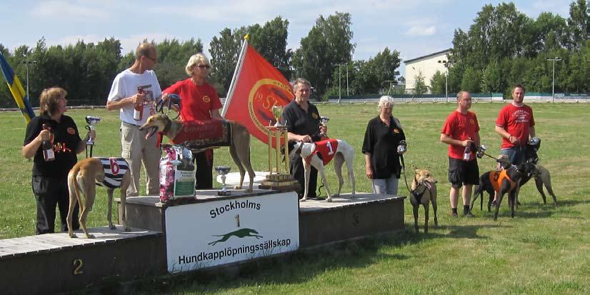 05, sexa Midas, M Karlsson, 7HS, 33.48. Finalisterna i årets Derby: PLAYA MARINA, tik född juli 2008 e. Blue Majestic Playa Negra.