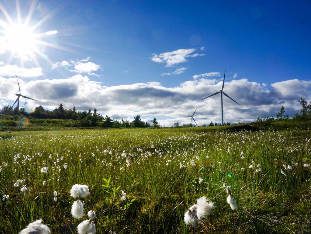 De första sex månaderna, januari-juni Produktionen från koncernens vindparker under januari-juni uppgick till 246 440 (212 050) MWh. Nettoomsättningen uppgick till 109 807 (94 445) tkr.