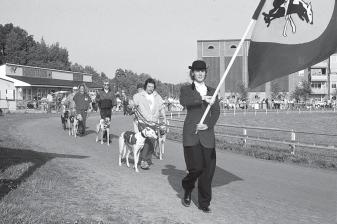 buterade Bugatti med att bli tvåa på 30.98! Startlistan till derbyfinalen fick följande utseende: 1. Iron Fist, Mikael Högberg, Alingsås 2. Yellow Man, Rose-Marie Eriksson, Stockholm 3.