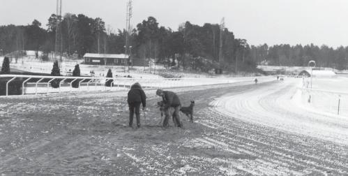 Pelle Kula Årets hund Årets hundar 1996: Årets hund Pelle Kula ula, Ida Hagberg, 7HS. Årets tik och Årets stayer Mustang Alice lice, Christian & Monica Hagberg, 7HS.
