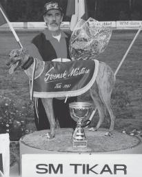 I Tommarps Round Robin-tävling med 38 hundars startfält gick segern till Mustang OJay ay, Hans-Olof Jansson, SDA på 31.
