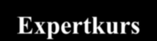 Aktiviteter: Expertkurs Genus & interkulturalism