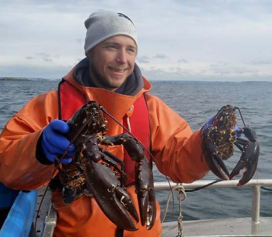 14 Ett fiskefritt område för skydd av hummer och rovfisk i Göteborgs skärgård Delrapport 5 Författare: Andreas Wikström, Frida Sundqvist, Mats Ulmestrand, Håkan Wennhage, Ulf Bergström Omslagsfoto: