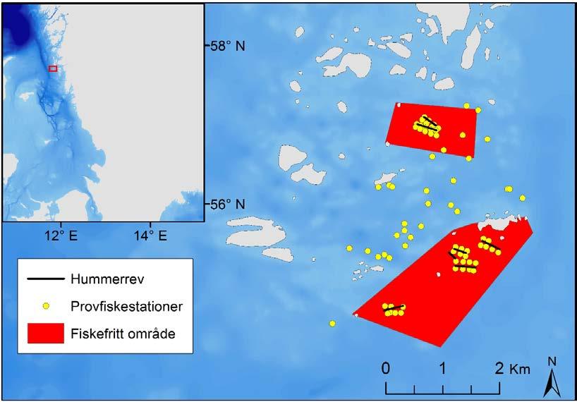 Figur 1. De fiskefria områdena (röda zoner) vid Tanneskär (övre) och Buskär (undre). Svarta linjer representerar lokalisering av konstgjorda rev.
